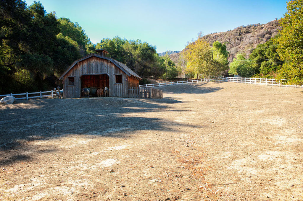 RA3155-1_Western Town