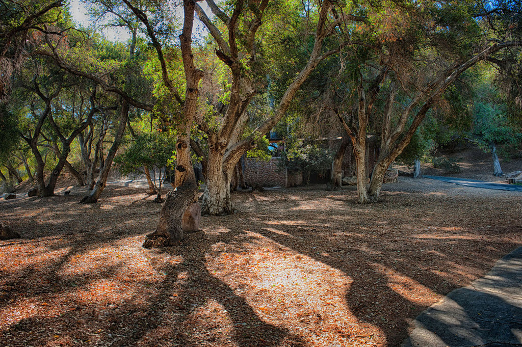 RA3155-1_Western Town