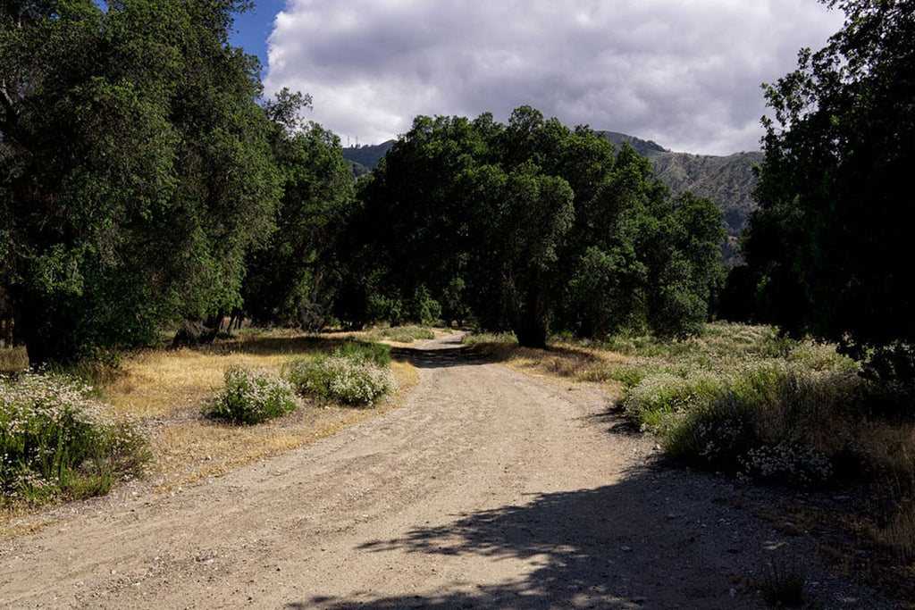 RA3155-2_Roads and Land