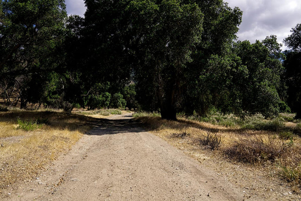 RA3155-2_Roads and Land