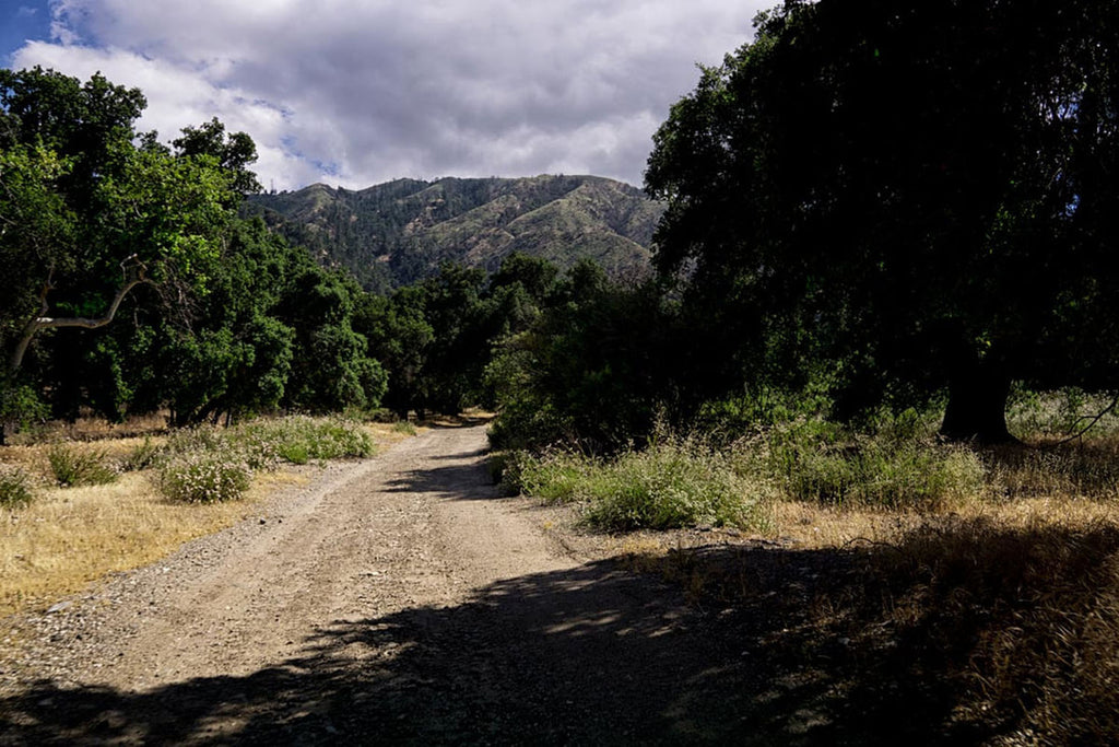 RA3155-2_Roads and Land