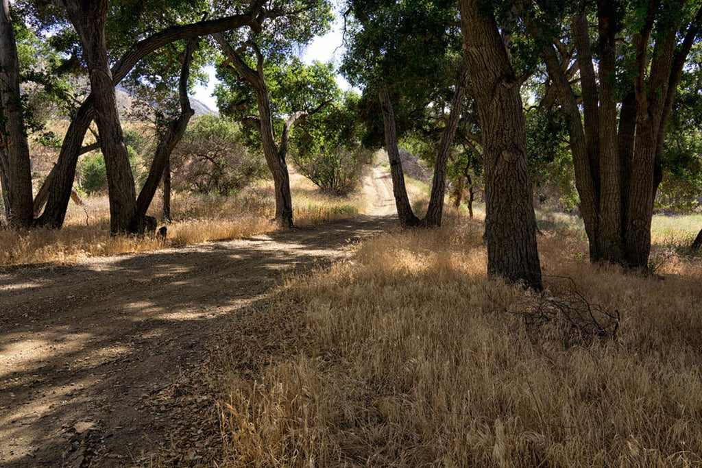 RA3155-2_Roads and Land