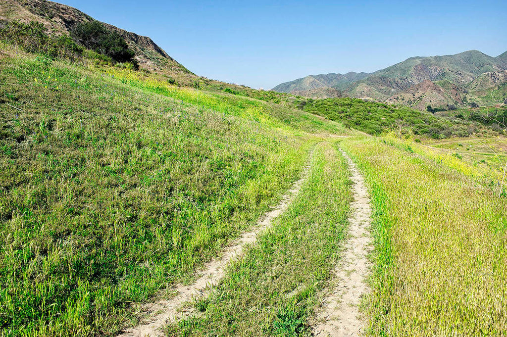 RA3155-2_Roads and Land