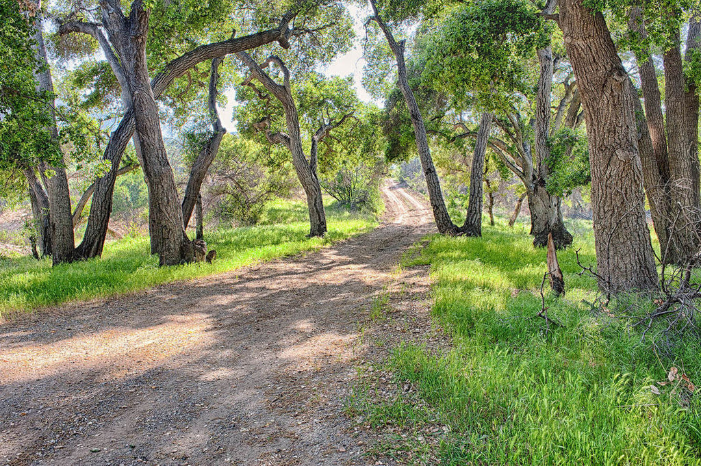 RA3155-2_Roads and Land