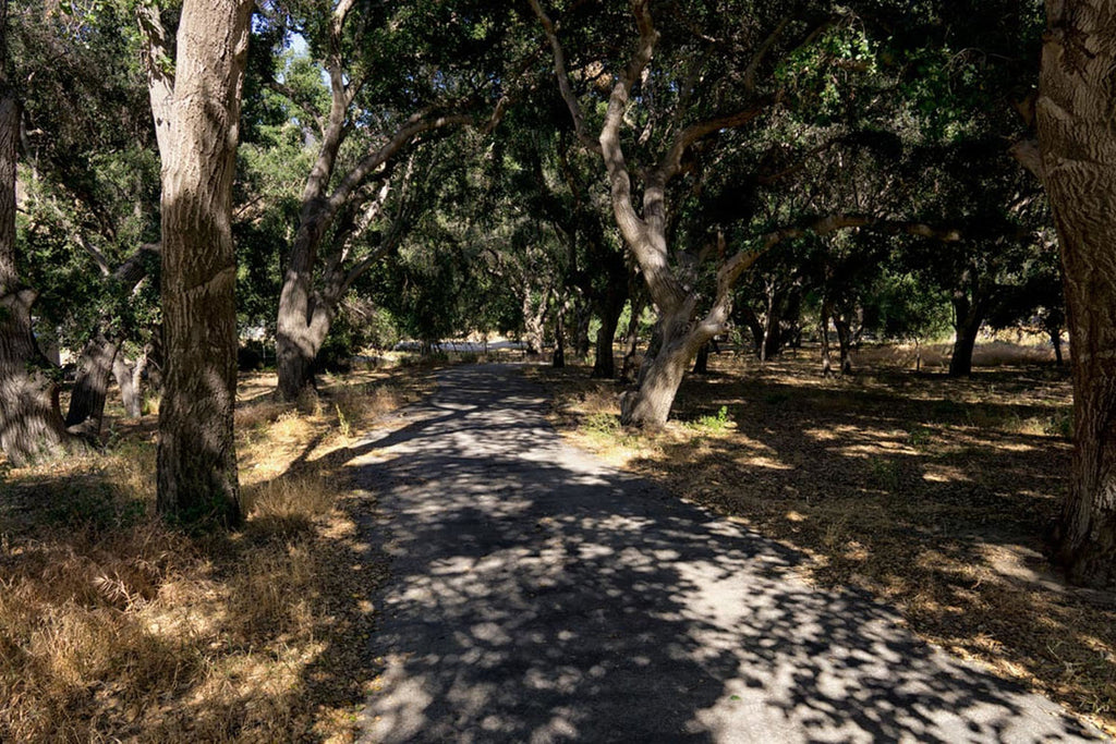 RA3155-2_Roads and Land