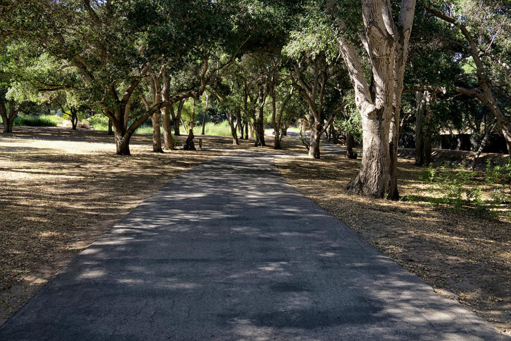 RA3155-2_Roads and Land