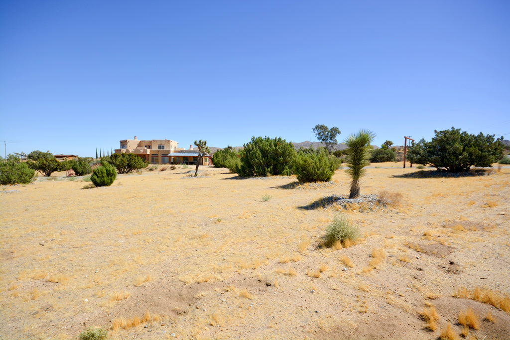 JoshuaTree - SantaFe2020