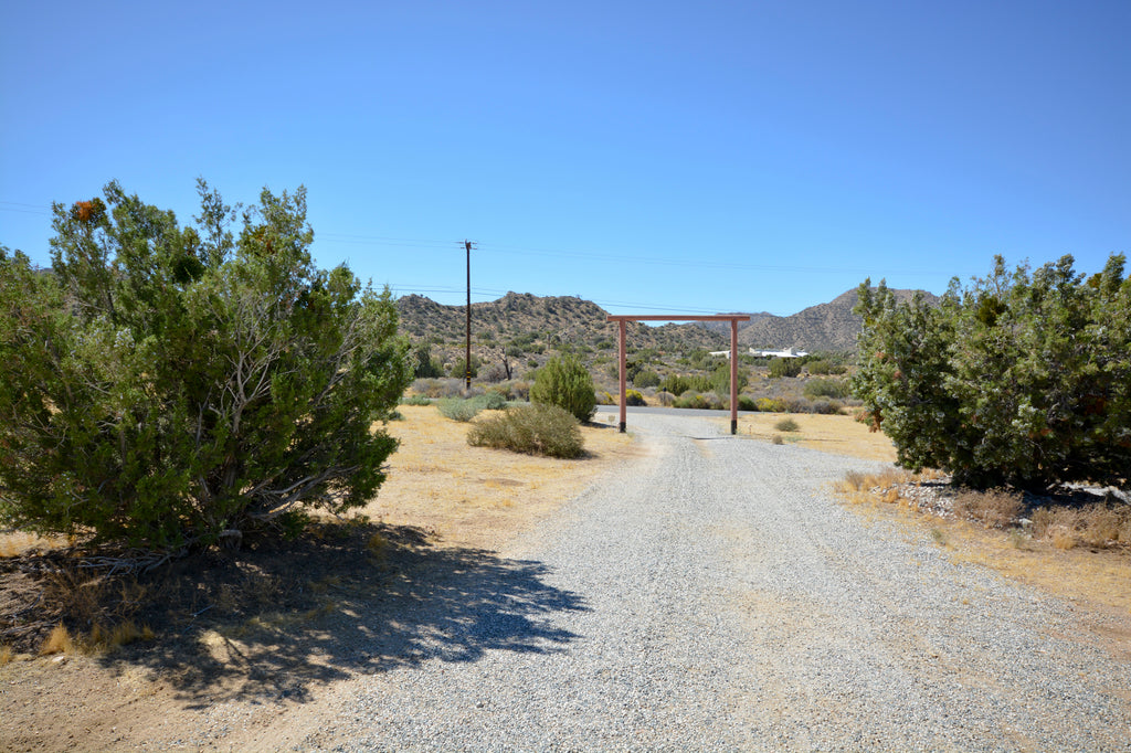 JoshuaTree - SantaFe2020