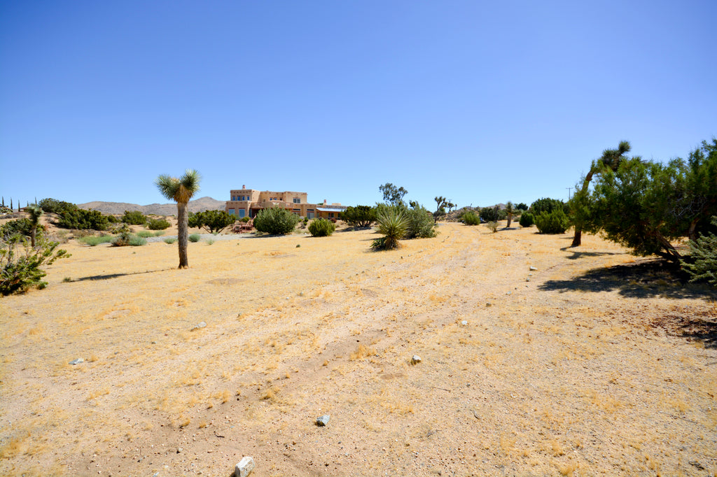 JoshuaTree - SantaFe2020