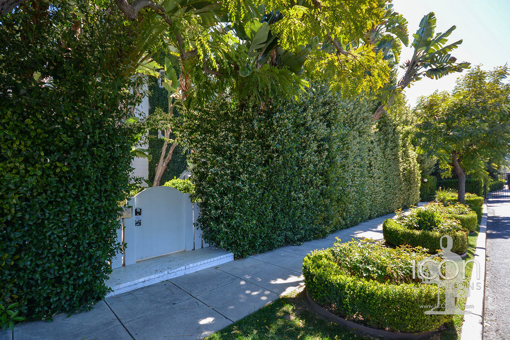 Modern Traditional - TRAD2101