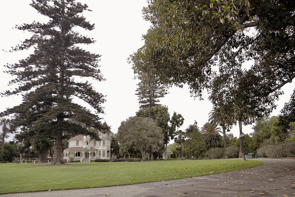 Victorian - VICT2023