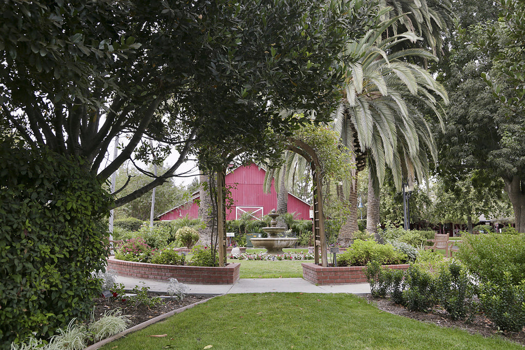 Victorian - VICT2023