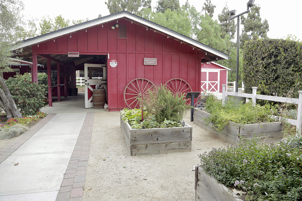 Victorian - VICT2023