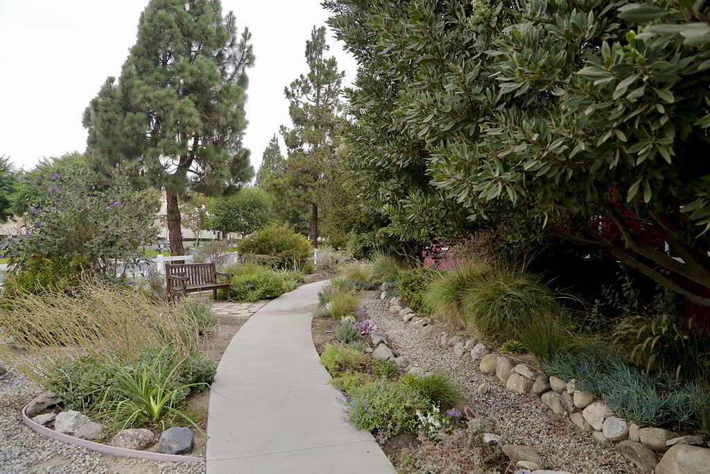 Victorian - VICT2023