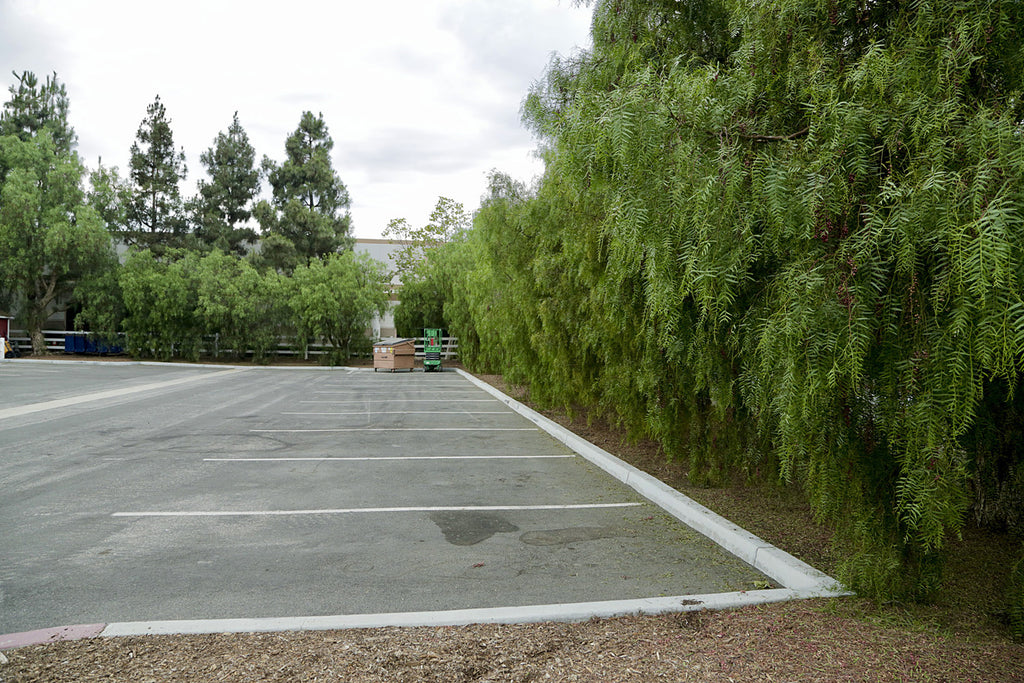 Victorian - VICT2023