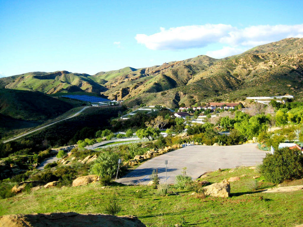 VILLA - VILLA2124-Main House