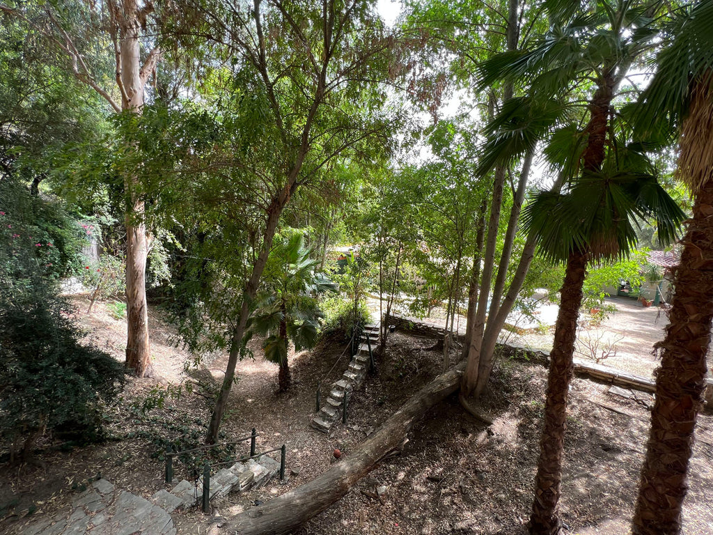 Mediterranean Ranch Villa - VILLA2129