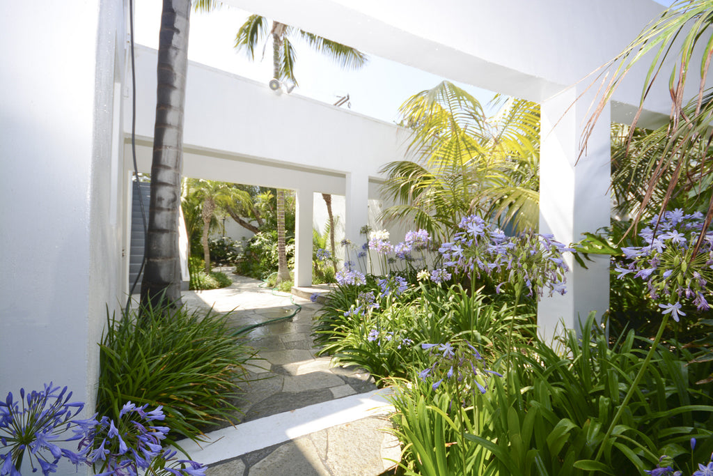 Beach House - BH30065